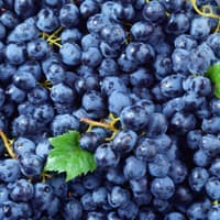 raisin noir (30 kg)