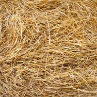 foin (1 tonne)