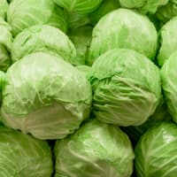 chou blanc (50 kg)
