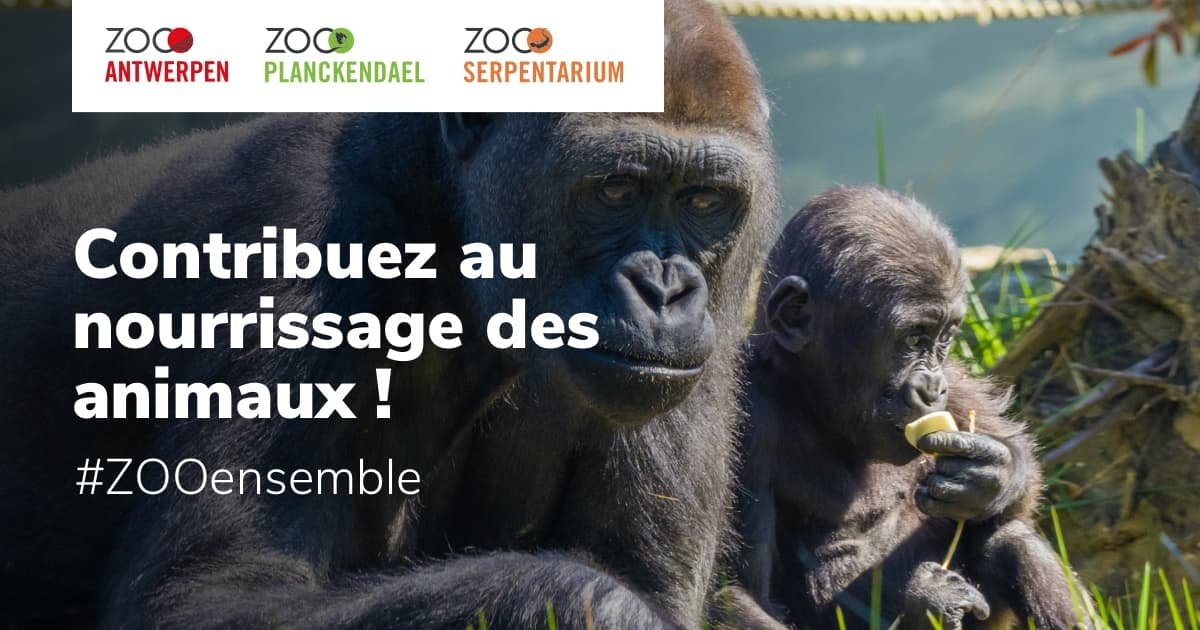(c) Zooensemble.be